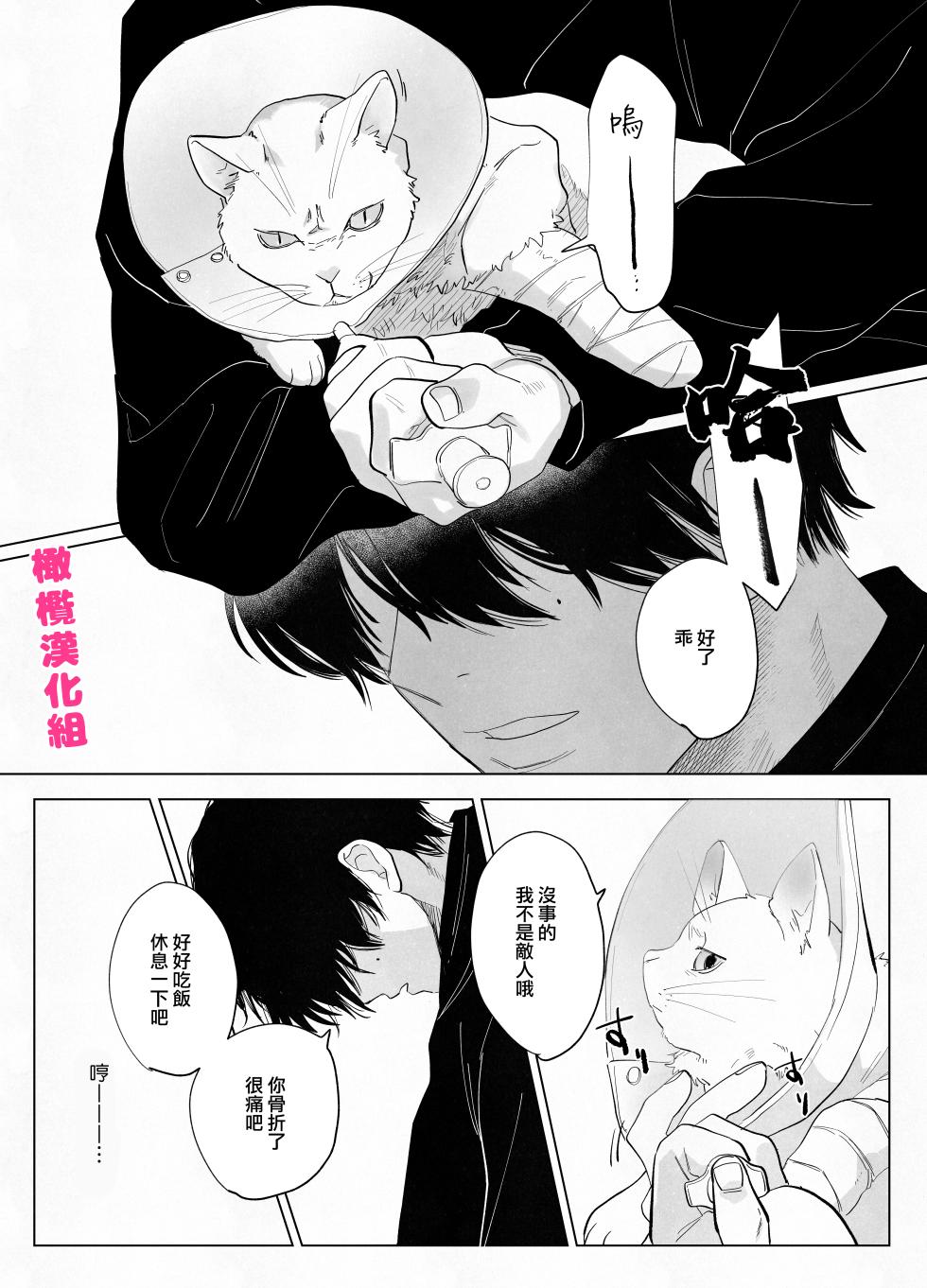 [Atara yo/ nocori] bake neko to mibōjin｜猫与未亡人[中文] [橄榄汉化组] - Page 6