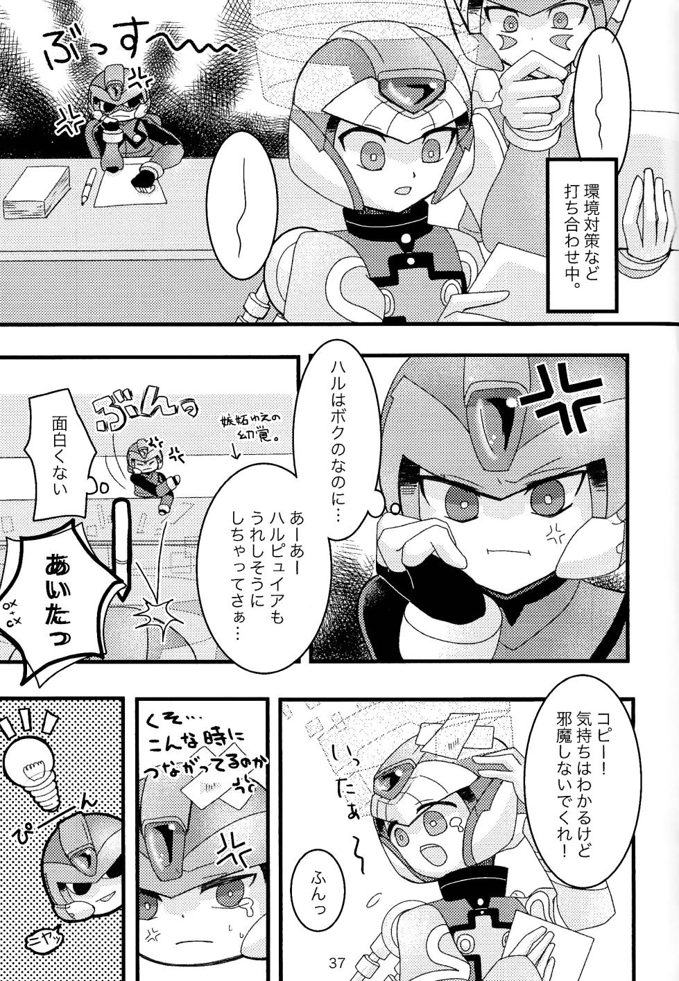 (XmachinaZ Cyber) [OMIDEA (Oumi Suzumu, dear)] Mazeru na Kiken (Mega Man Zero) - Page 38