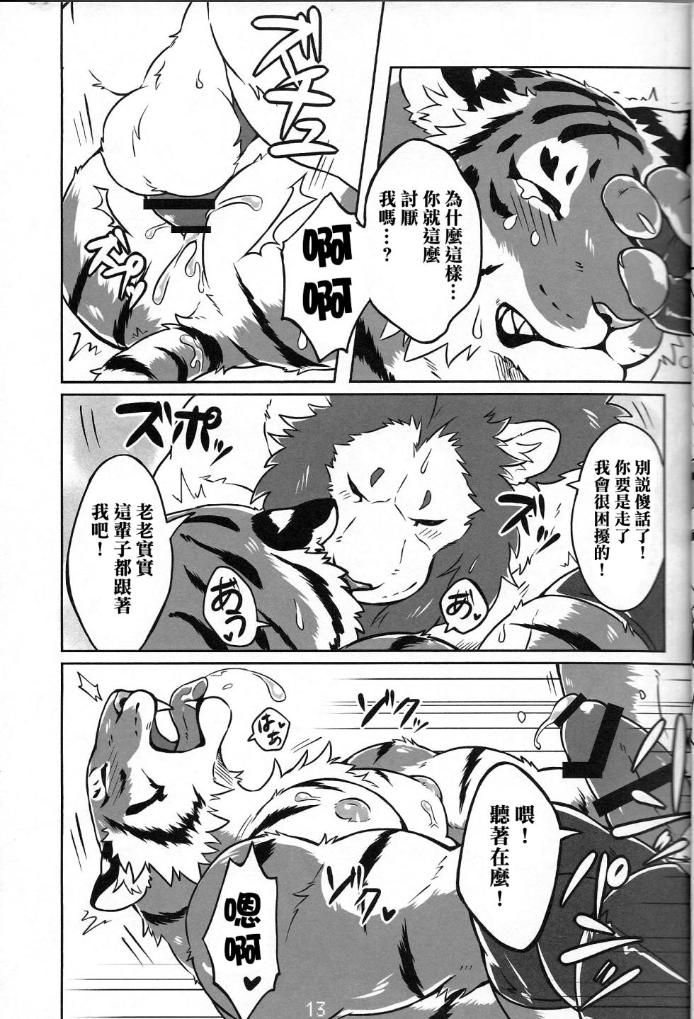 (Kemoket 4) [TFWS (Kirin)] Koi no German Suplex | 爱的德式后抱摔 (Furry Suplex 2) [Chinese] {图腾の汉化} - Page 10