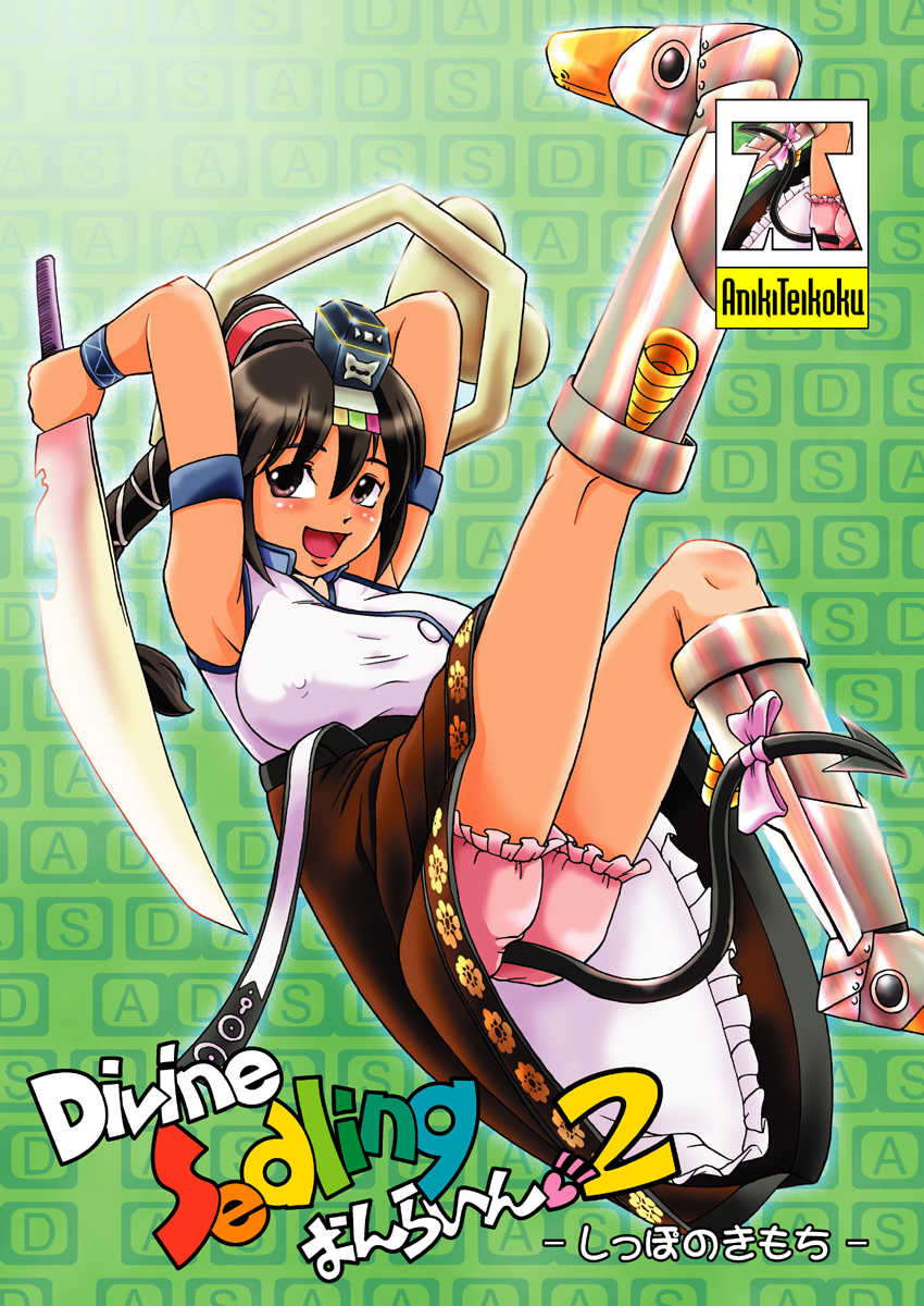 (C66) [Aniki Teikoku (Fey Tas)] Divine Sealing ONLINE2 (Ragnarok Online) - Page 2