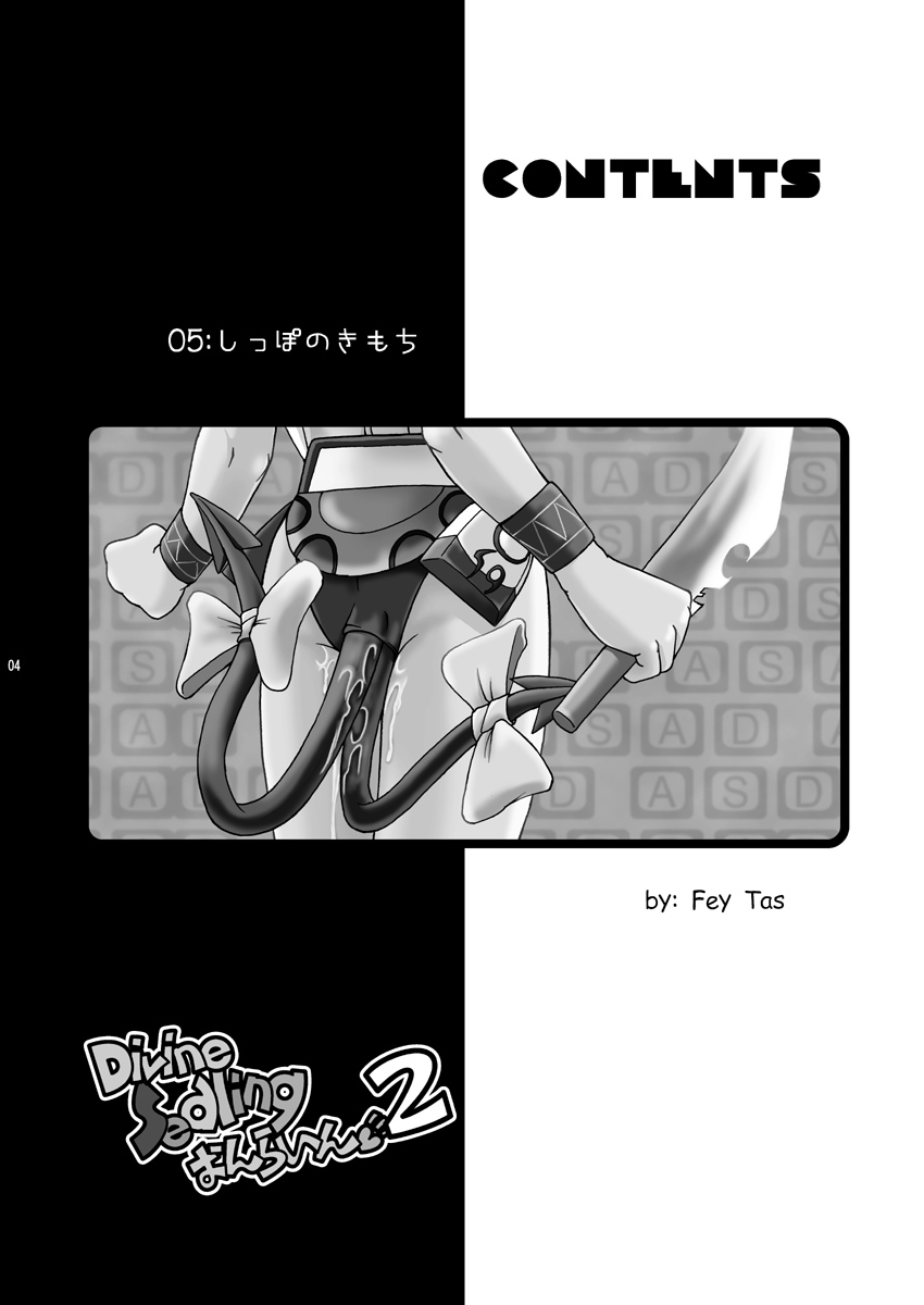 (C66) [Aniki Teikoku (Fey Tas)] Divine Sealing ONLINE2 (Ragnarok Online) - Page 4