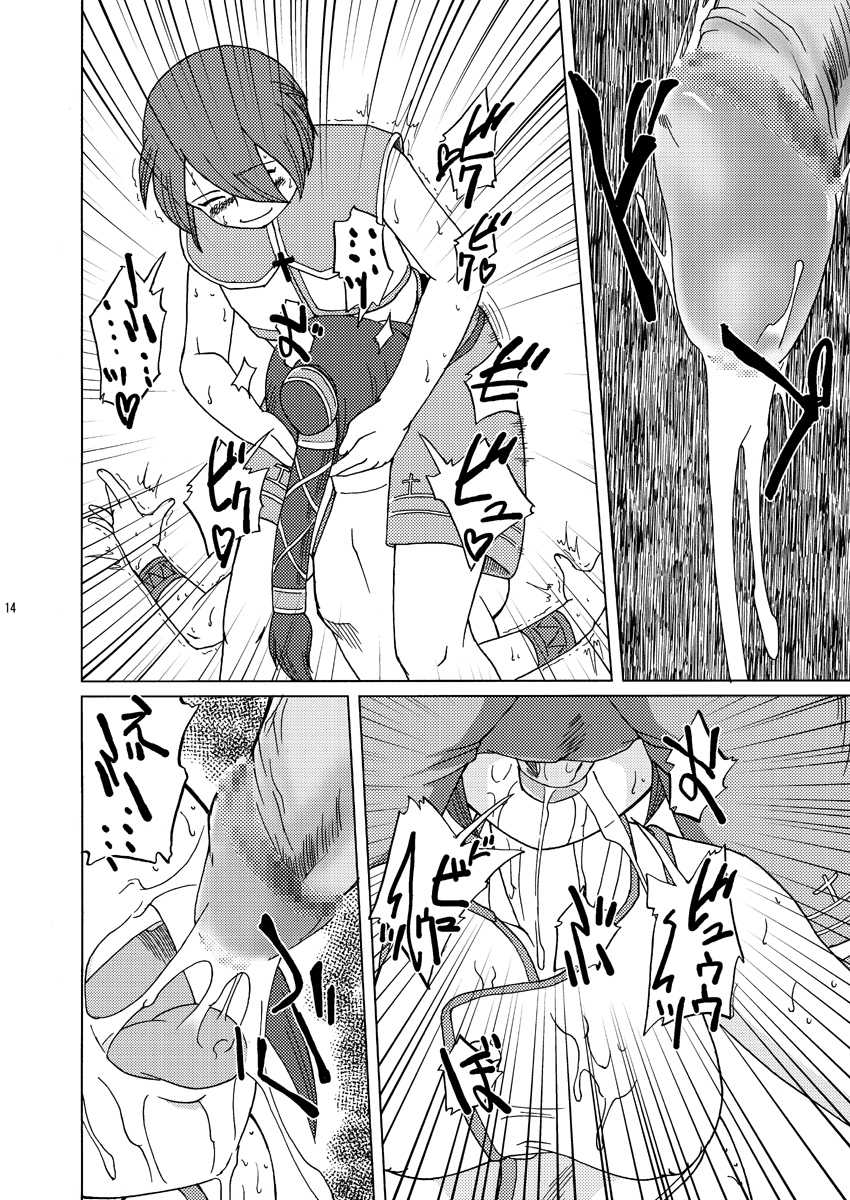 (C66) [Aniki Teikoku (Fey Tas)] Divine Sealing ONLINE2 (Ragnarok Online) - Page 14
