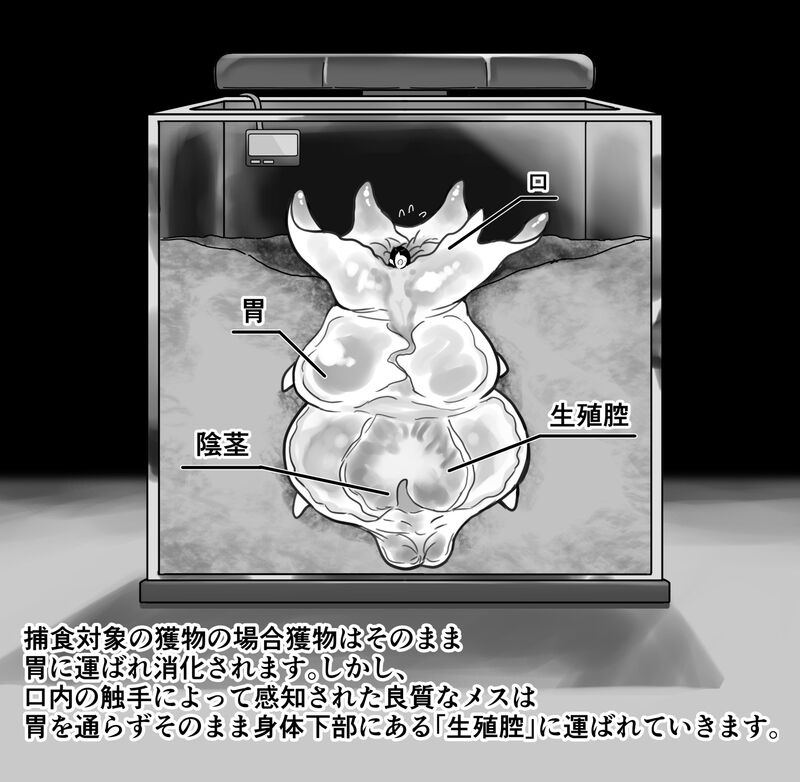 【衝撃】触手生物の巣穴にメスを入れてみた結果がヤバすぎた… - Page 15