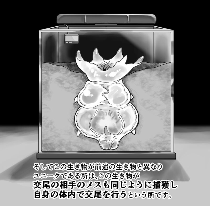 【衝撃】触手生物の巣穴にメスを入れてみた結果がヤバすぎた… - Page 19