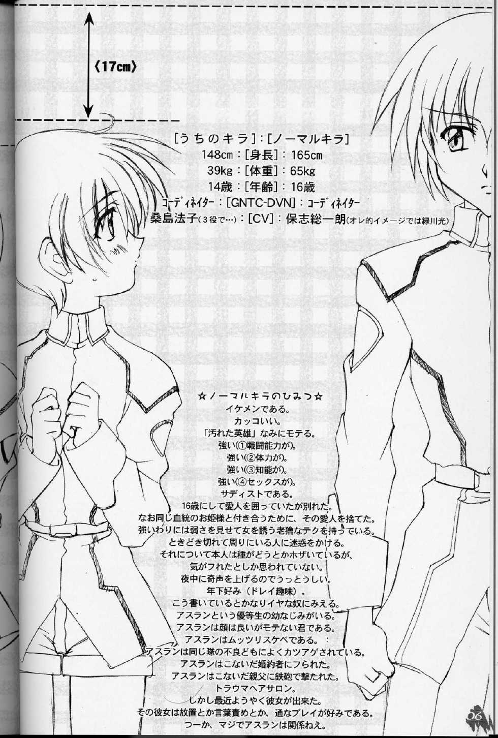 (C64) [LUCK&PLUCK! (Amanomiya Haruka)] MaryuKira Machine (Gundam SEED) - Page 5