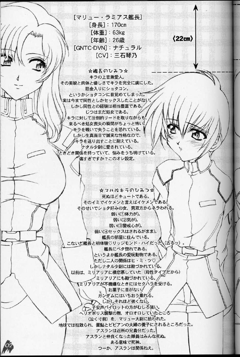 (C64) [LUCK&PLUCK! (Amanomiya Haruka)] MaryuKira Machine (Gundam SEED) - Page 6