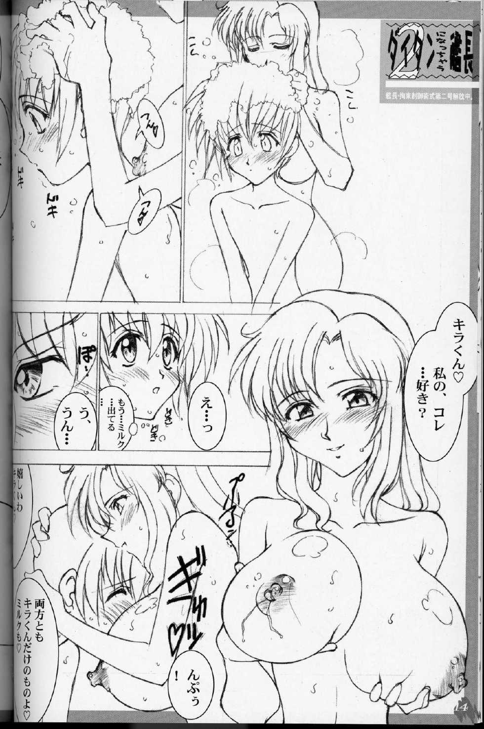 (C64) [LUCK&PLUCK! (Amanomiya Haruka)] MaryuKira Machine (Gundam SEED) - Page 13