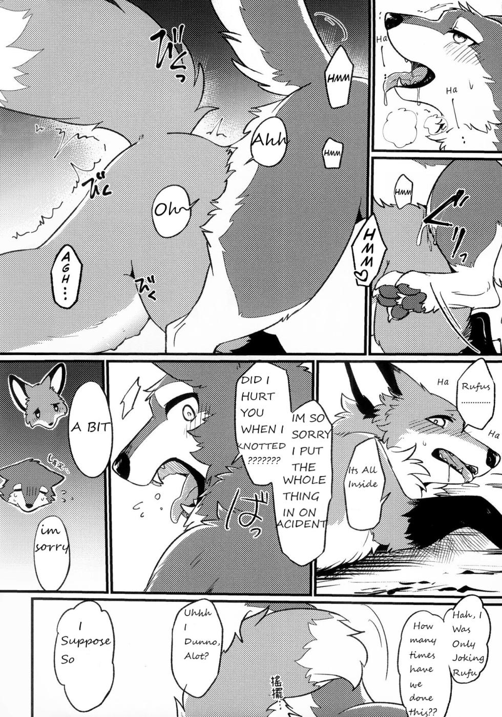 (Furrymosa 5) [Kaiten ParaDOGs (Minaga Tsukune)] IN THE FOREST [English] [Decensored] - Page 13