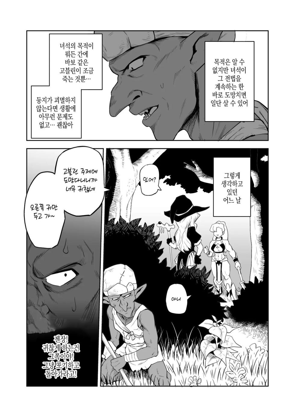[Yamabatake] Goblin to Onna Kishi | 고블린과 여기사 [Korean] - Page 9
