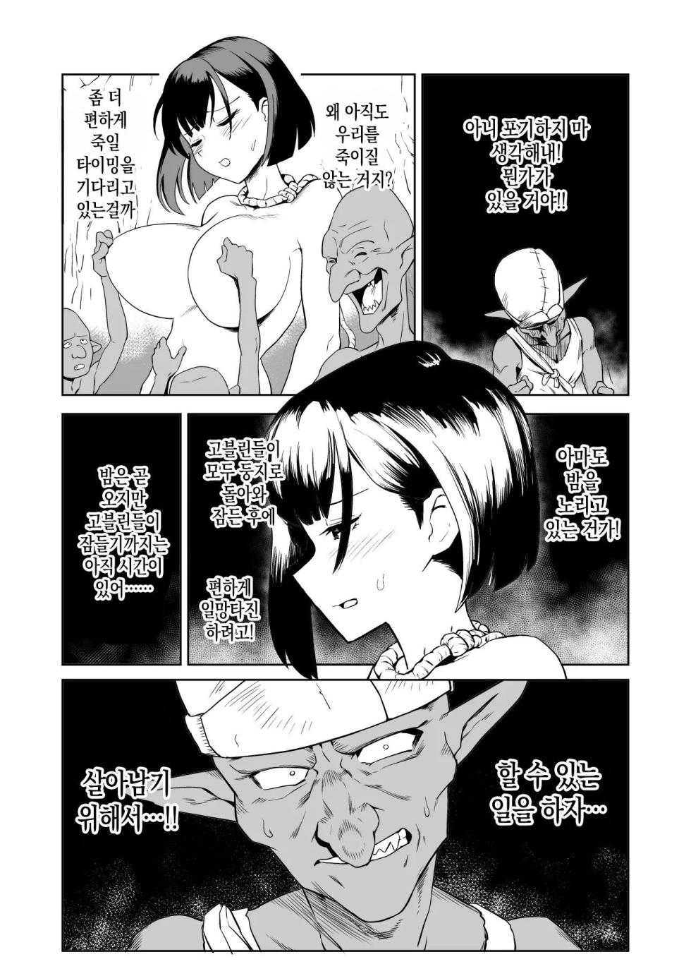 [Yamabatake] Goblin to Onna Kishi | 고블린과 여기사 [Korean] - Page 16