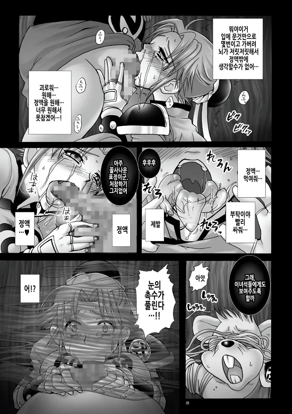 (C78) [Abalone Soft (Modaetei Imojirou)] Mataikiden Maam 3 | 마태기전 마암 3 (Dragon Quest Dai no Daibouken) [Korean] - Page 28