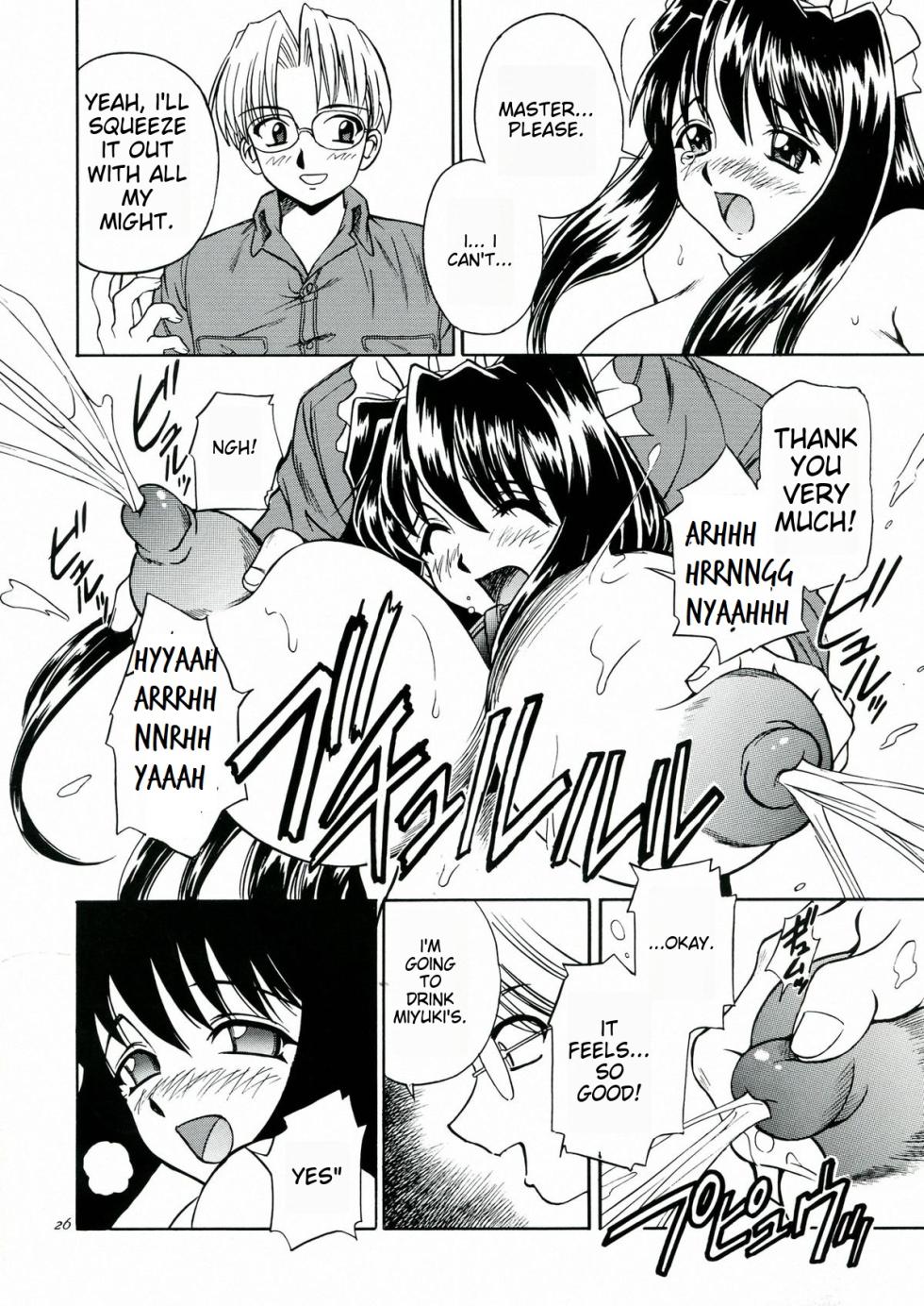 [MTL] (C60) [Narimasuya (Akiba Wataru)] DOLLS DIARY 5 (english) - Page 22