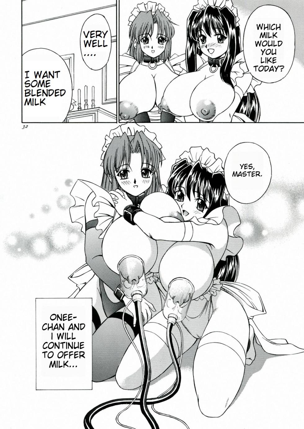 [MTL] (C60) [Narimasuya (Akiba Wataru)] DOLLS DIARY 5 (english) - Page 28