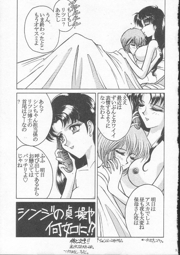 (C49) [LUCK&PLUCK!Co. (Amanomiya Haruka)] My Love 6To8 (Neon Genesis Evangelion) - Page 24
