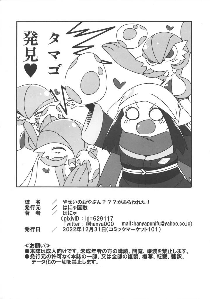 (C101) [Hanya Yashiki (Hanya)] Yasei no Oyabun Sirnight ga Arawareta! | ¡Ha aparecido un Alfa salvaje! (Pokémon) [Spanish] - Page 21