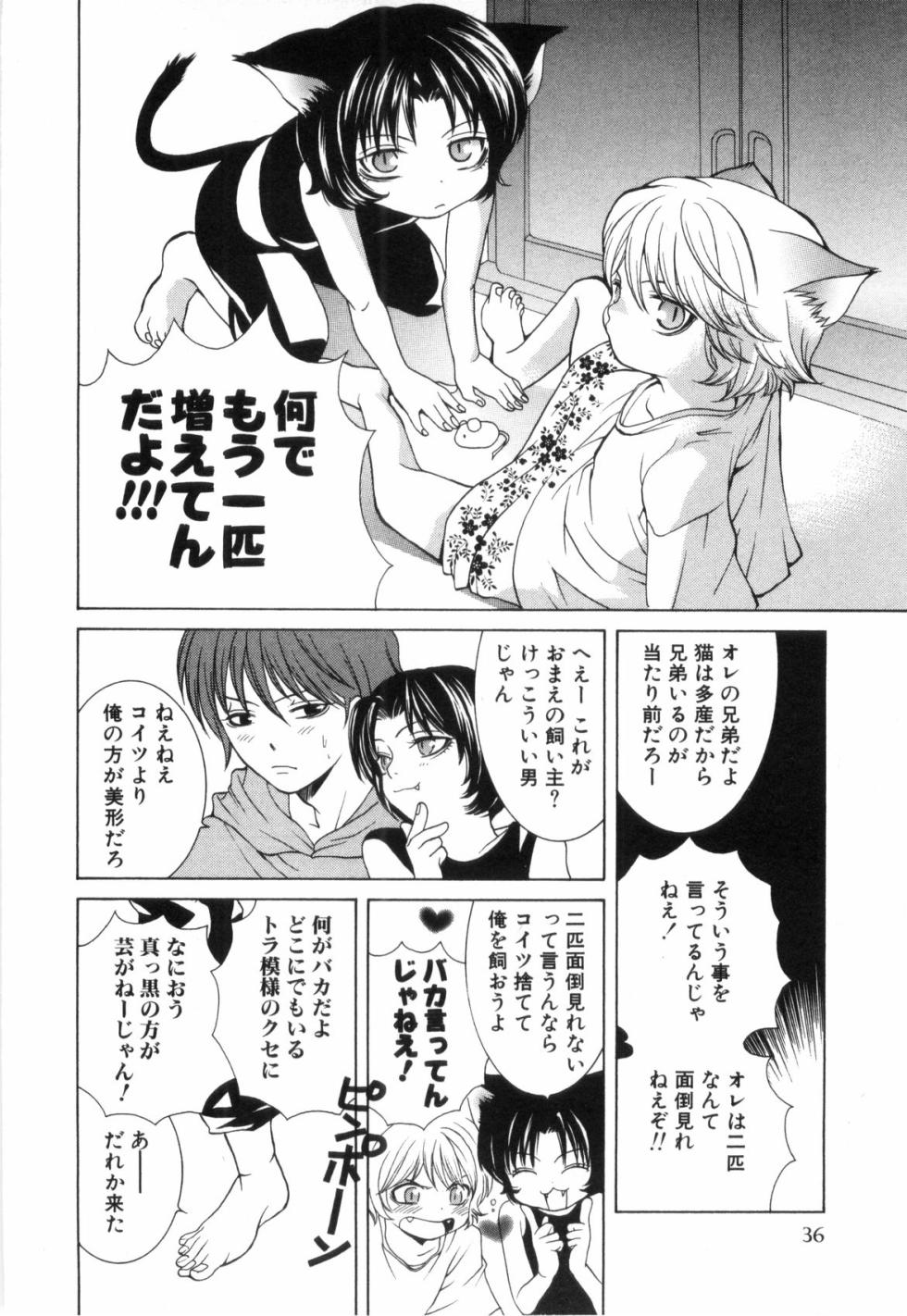 [Akana Meiko] Nekokan - Page 39