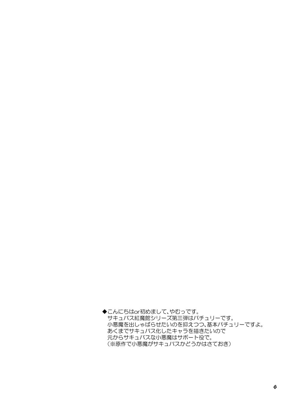 [Reverse Noise (Yamu)] Succubus Koumakan part III (Touhou Project) [Chinese] [不咕鸟汉化组] [Digital] - Page 4