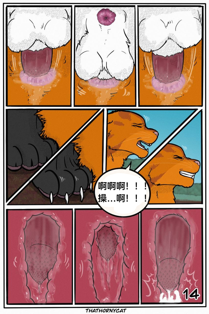 【Warriorcats】 Talltail x Jack Artist:thathornycat 个人汉化 高尾x杰克 - Page 17