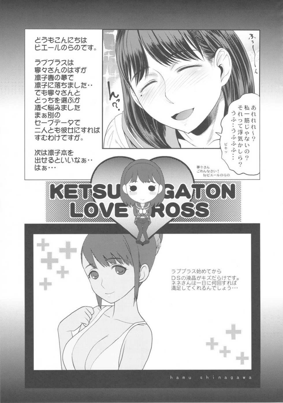 (C78) [Toluene Ittokan (Pierre Norano)] KETSU!MEGATON LOVE CROSS Nene (Love Plus) - Page 24