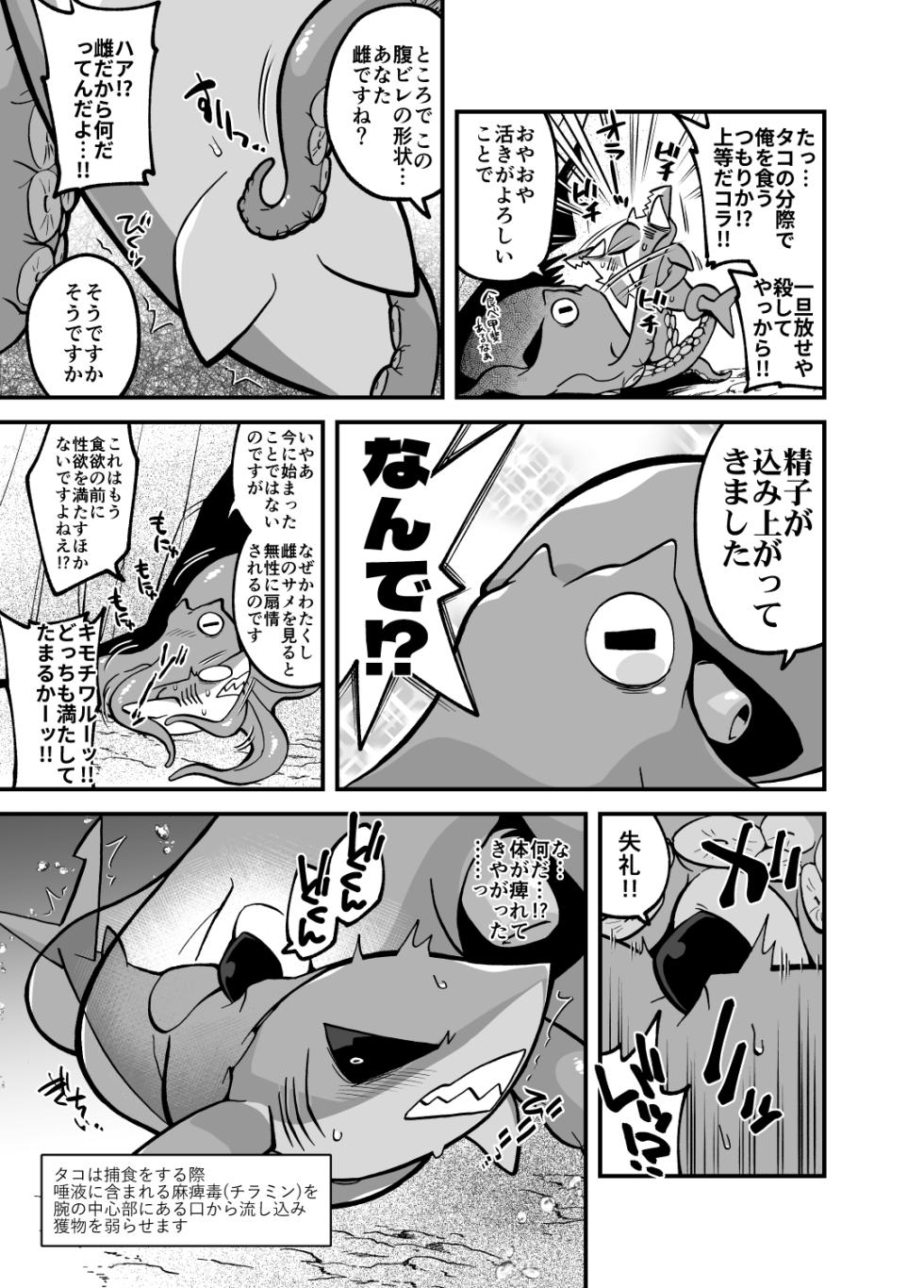 (Kemoket 14) [Ika Guerrilla (Kageyama)] Umi no Ikimono Zukan - Page 6