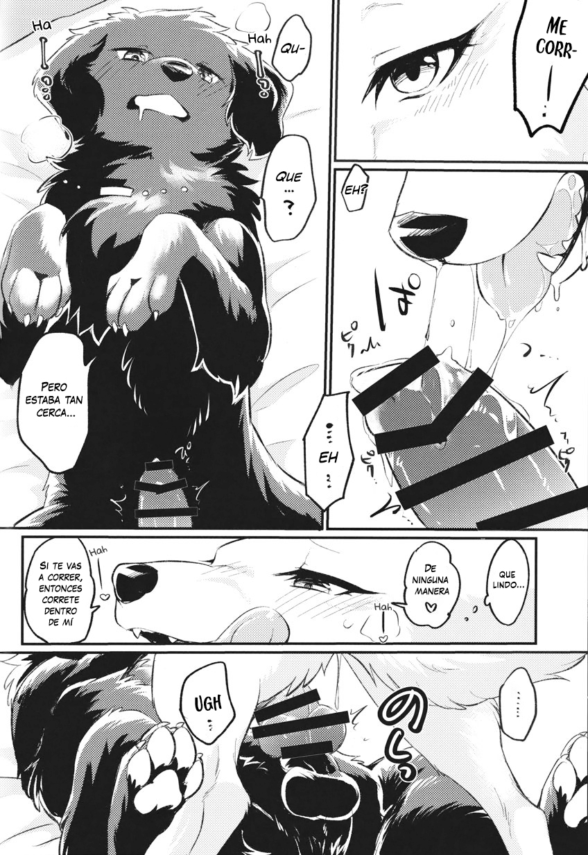 (Kemoket 13) [Kaiten ParaDOGs (Minaga Tsukune)] Hakoniwa Upset | Upset in the Courtyard [Spanish] - Page 14