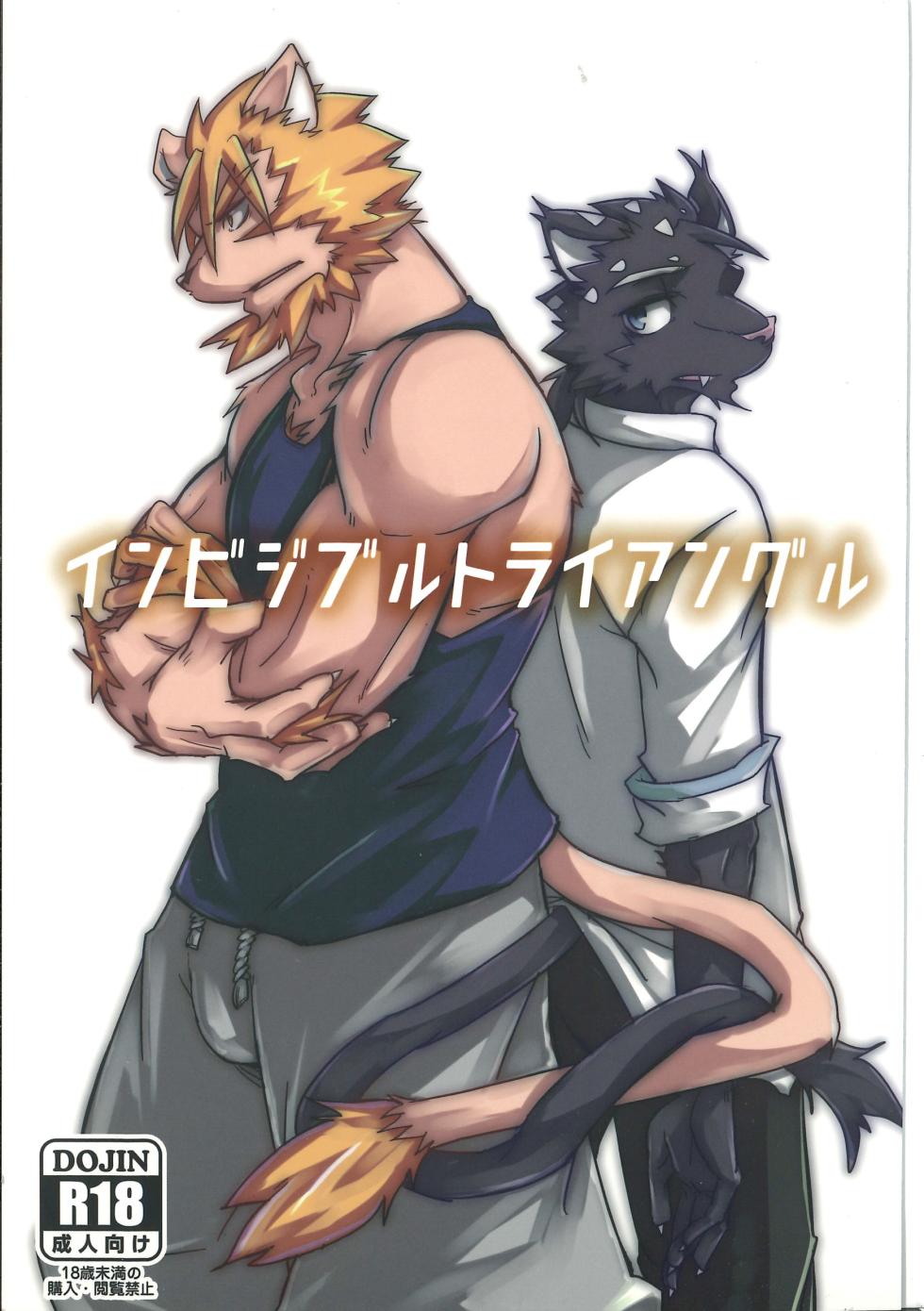 (Kansai Kemoket 6) [Natsuiro Laika (Ginnosuke)] Invisible Triangle | 虚假三角恋  [Chinese] [10bit汉化] - Page 1