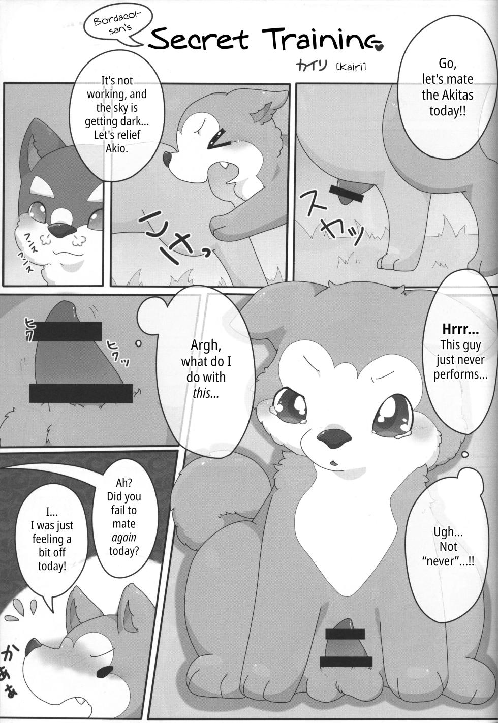 (Kansai! Kemoket 3) [PPOINO! (Kairi)] Bodako-san no Himitsu no Training | Bordacol-san's Secret Training (Boda kon) [English] - Page 1