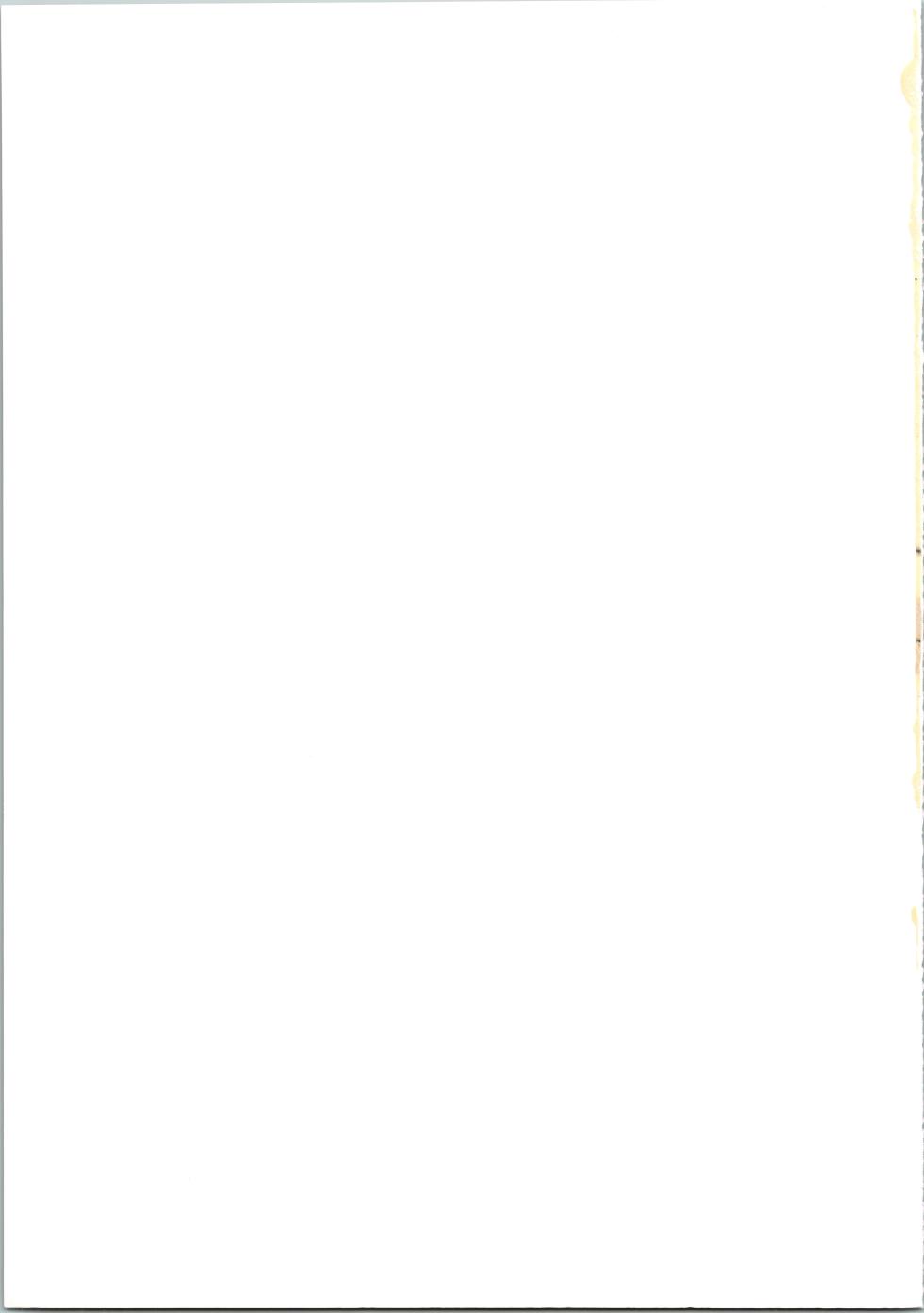 [Busou Yousei (Funato Hitoshi)] Takeyo 2005 Okuma (Okusama wa Mahou Shoujo) - Page 39