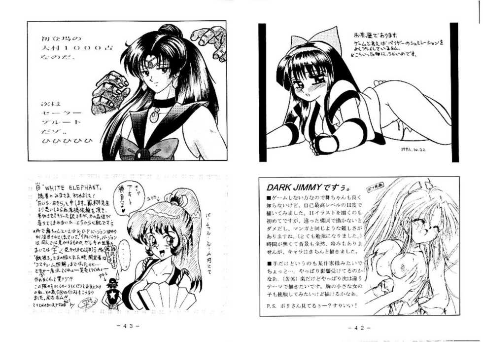 [White Elephant (Various)] Mai-chan Kannou Shashinshuu (King of Fighters) - Page 21