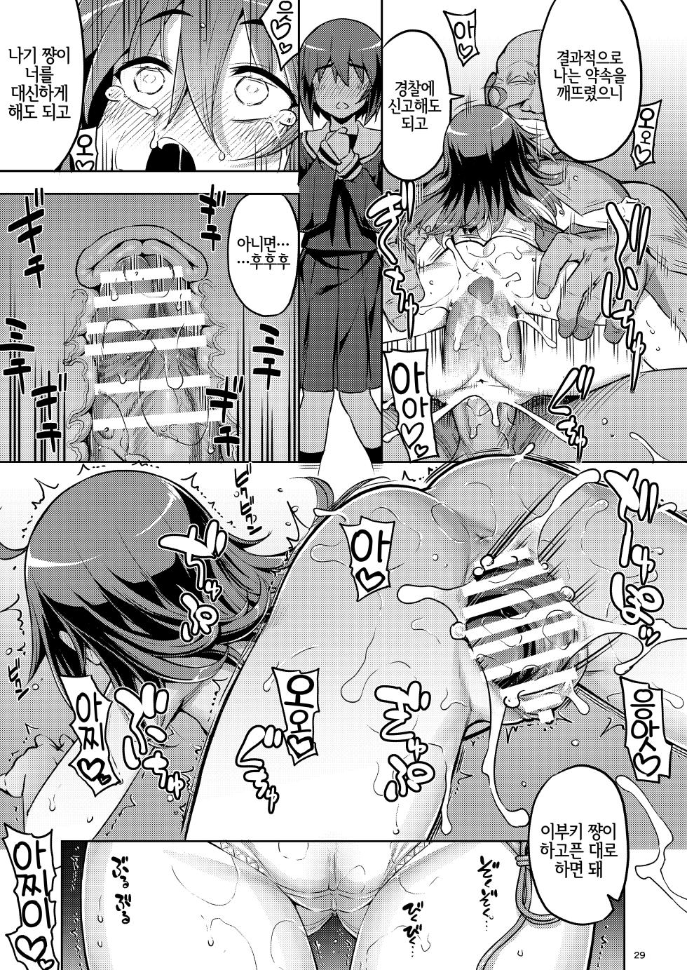 [RUBBISH Selecting Squad (Namonashi)] RE-EX Sachiusui Bokukko ga Shiawase? Ni Naru Made no Hanashi 2 | 박복한 보쿠소녀가 행복? 하게 되기까지의 이야기 2 [Korean] - Page 28