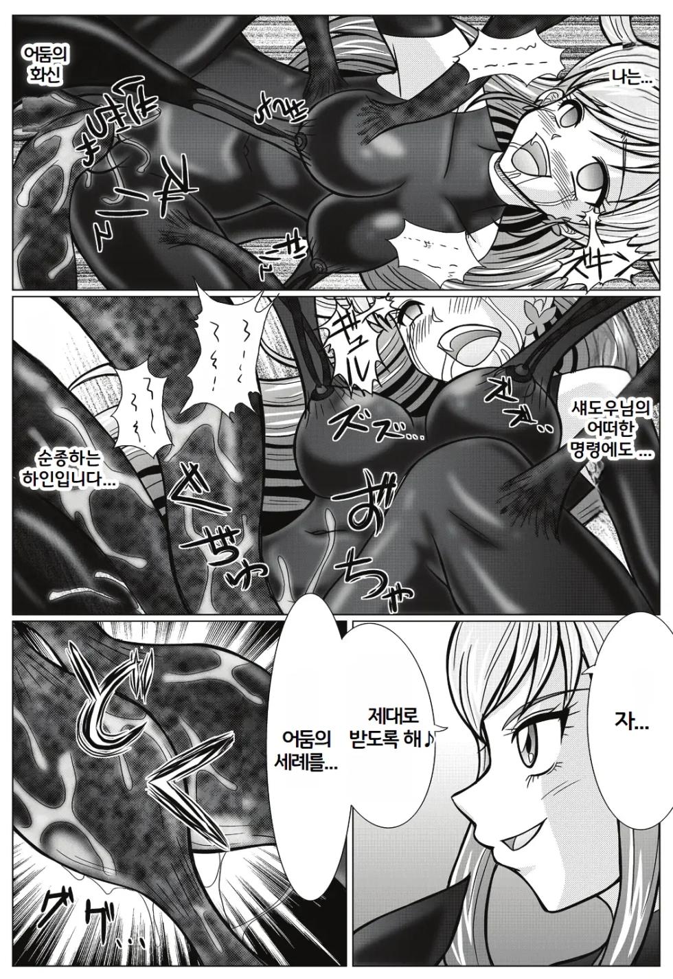 [MACXE'S (monmon)] Mou Hitotsu no Ketsumatsu ~Henshin Heroine Kairaku Sennou Yes!! Precure 5 Hen~ (Yes! PreCure 5) [korean] - Page 17