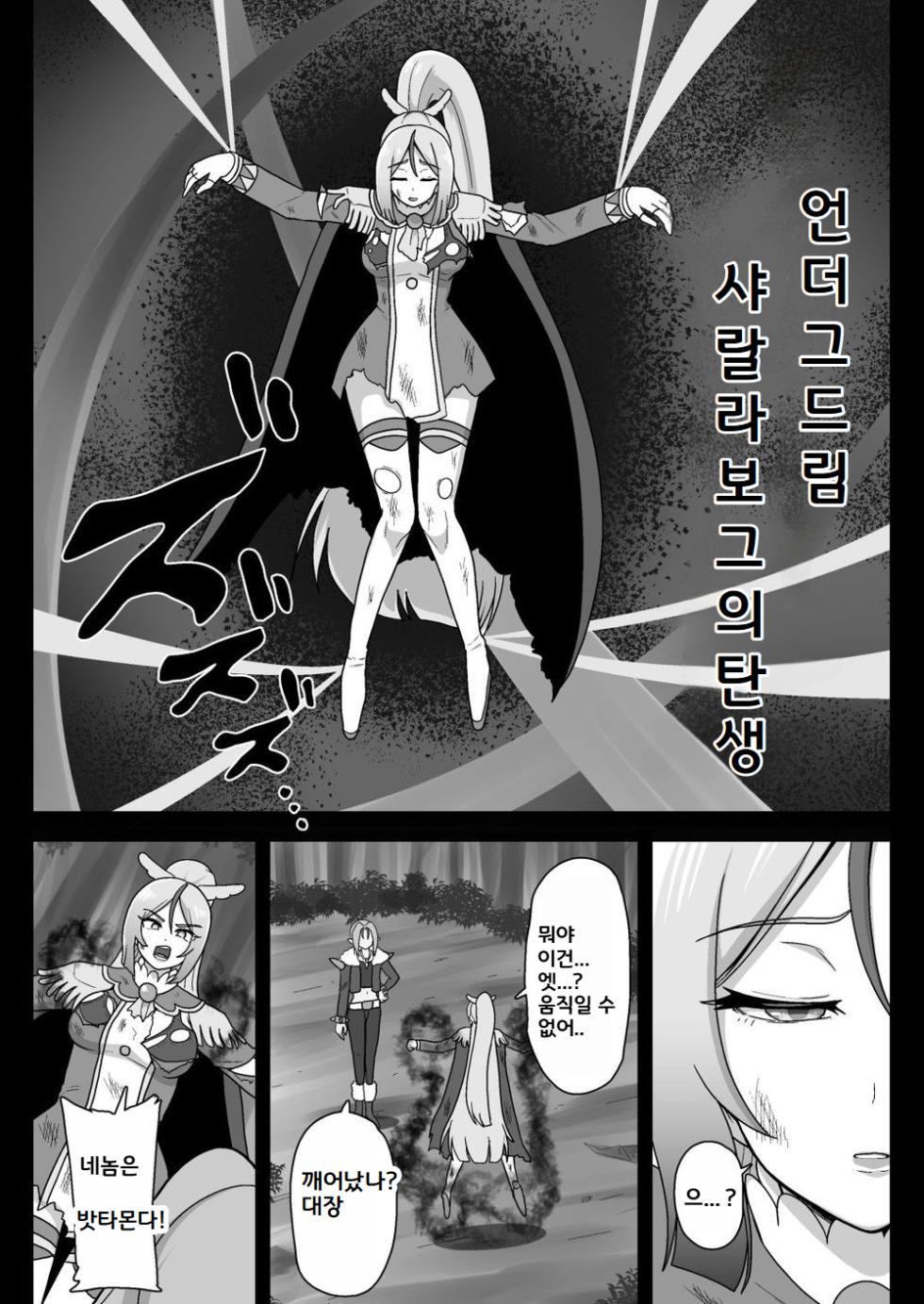 [Akuochisukii Kyoushitsu (Akuochisukii Sensei)] Underg Dream ~Shalala Borg no Tanjou~ | 언더그 드림 샤랄라보그의 탄생 (Hirogaru Sky! Precure) [Korean] [Digital] - Page 3