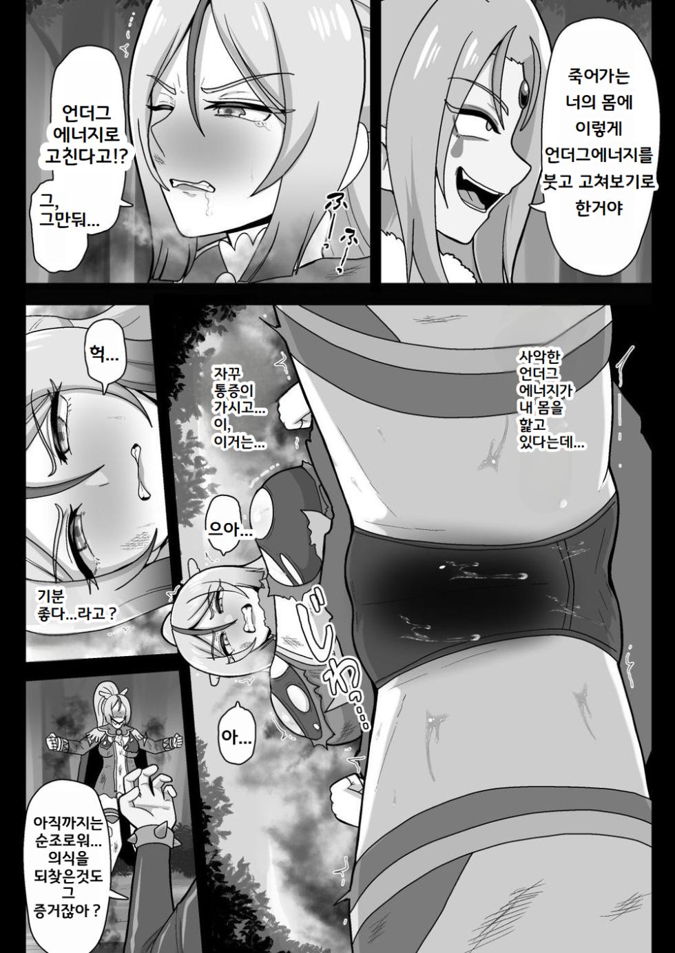[Akuochisukii Kyoushitsu (Akuochisukii Sensei)] Underg Dream ~Shalala Borg no Tanjou~ | 언더그 드림 샤랄라보그의 탄생 (Hirogaru Sky! Precure) [Korean] [Digital] - Page 5