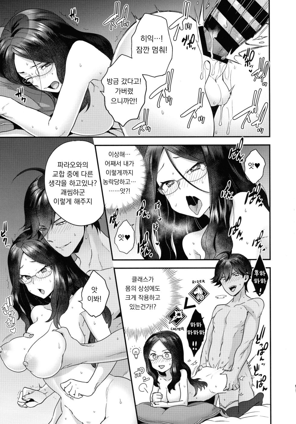 (C99) [Sayonara Hornet (Yoshiragi)] RE - EDITION (Fate/Grand Order) [Korean] - Page 11