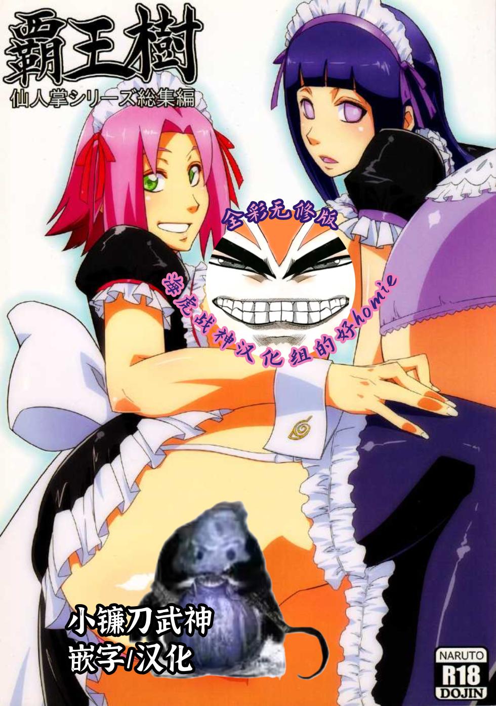 (C83) [Karakishi Youhei-dan Shinga (Sahara Wataru, Sentarou)] Haouju Saboten Series Soushuuhen (Naruto) [Chinese] [Incomplete] [Colorized] [Privatov][海虎战神汉化组汉化] - Page 1