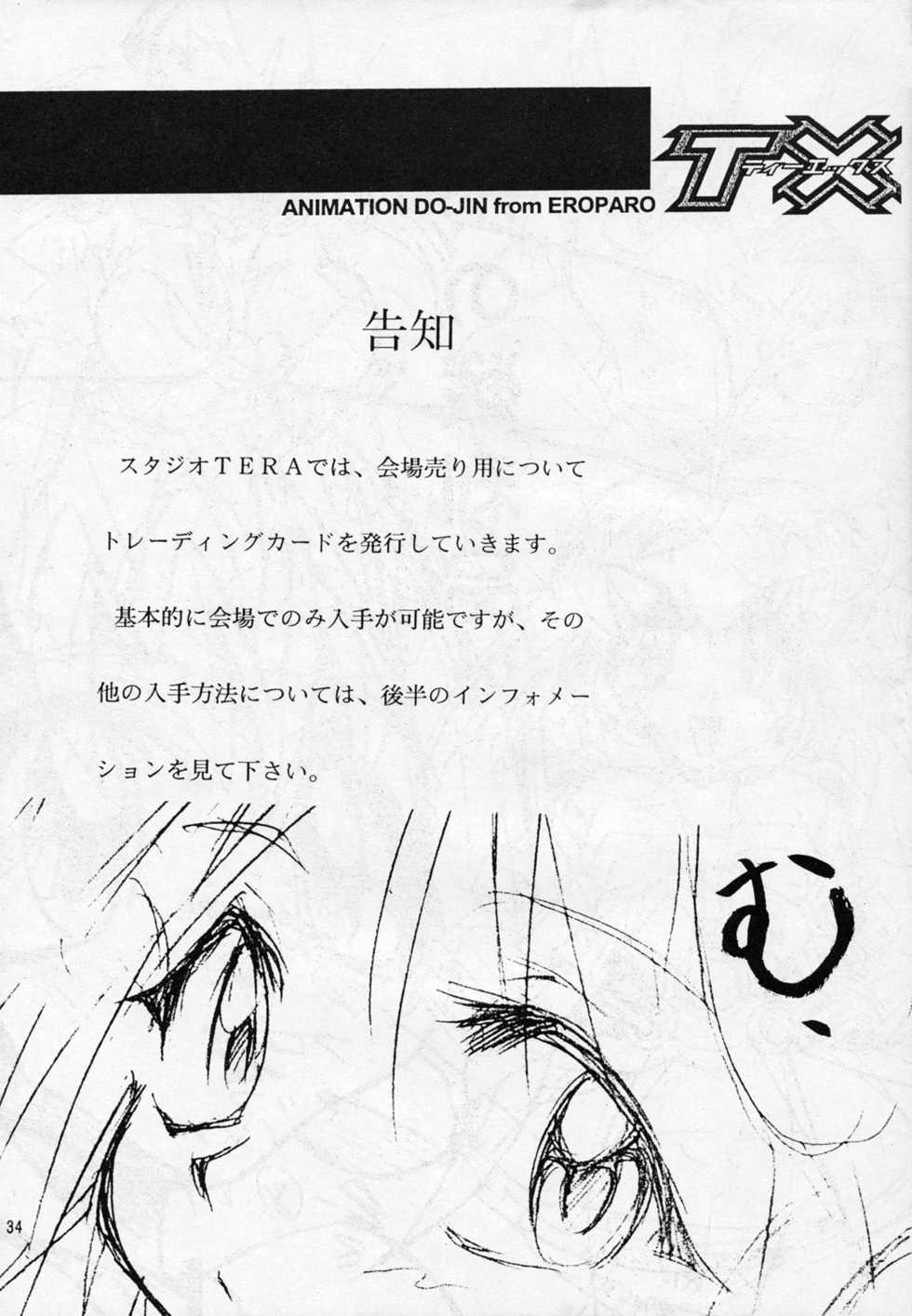 [Studio TERA (Entokkun, Koresawa Shigeyuki, Yomibitoshirazu)] TX 1 (Cyber Team in Akihabara, To Heart) - Page 33