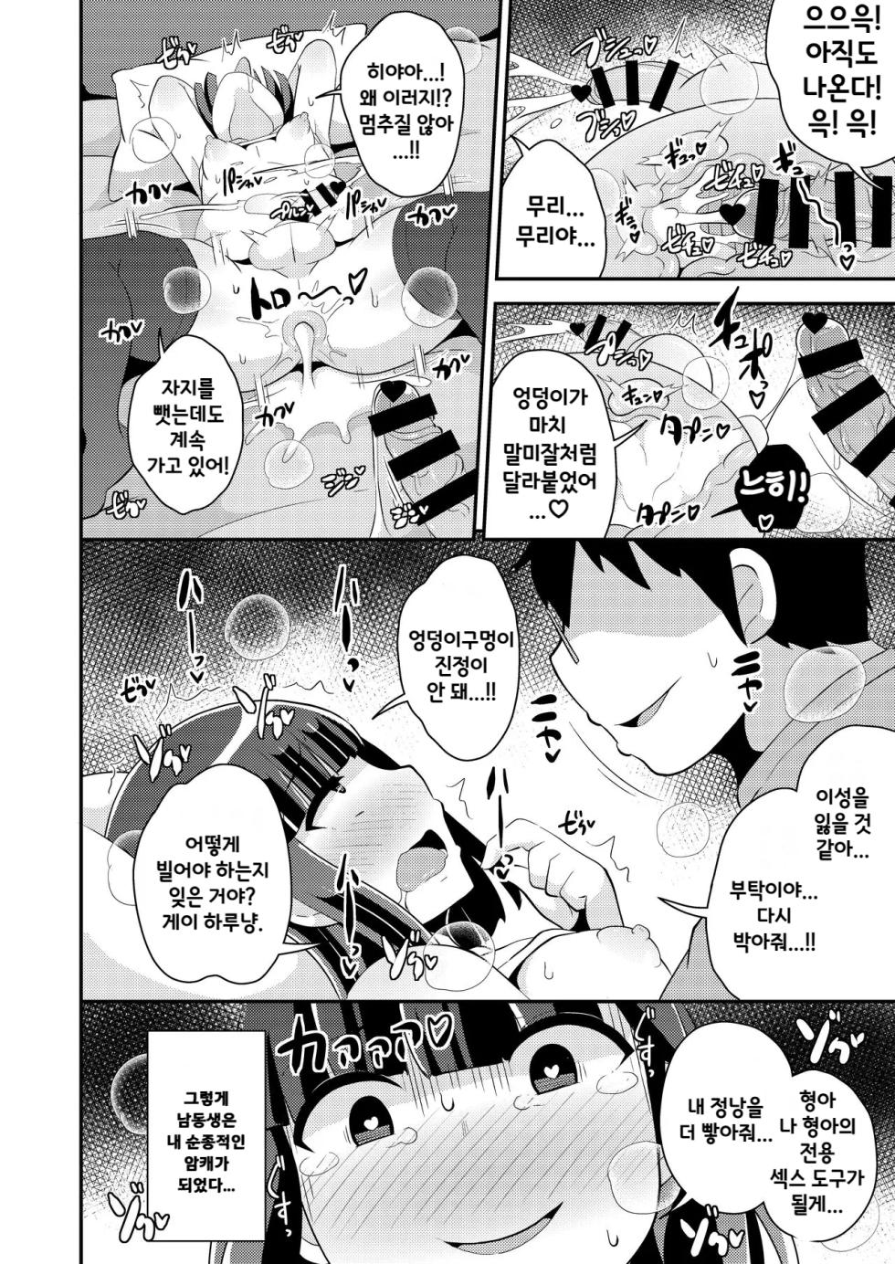 [CHINZURI BOP (Chinzurena)] Namaiki Otouto no Seinou o Konekurimawashita Mesu ni Suru Hon | 나마이키 남동생의 정낭을 주물러서 암컷♂으로 만드는 책♥ [Korean] [Digital] - Page 17