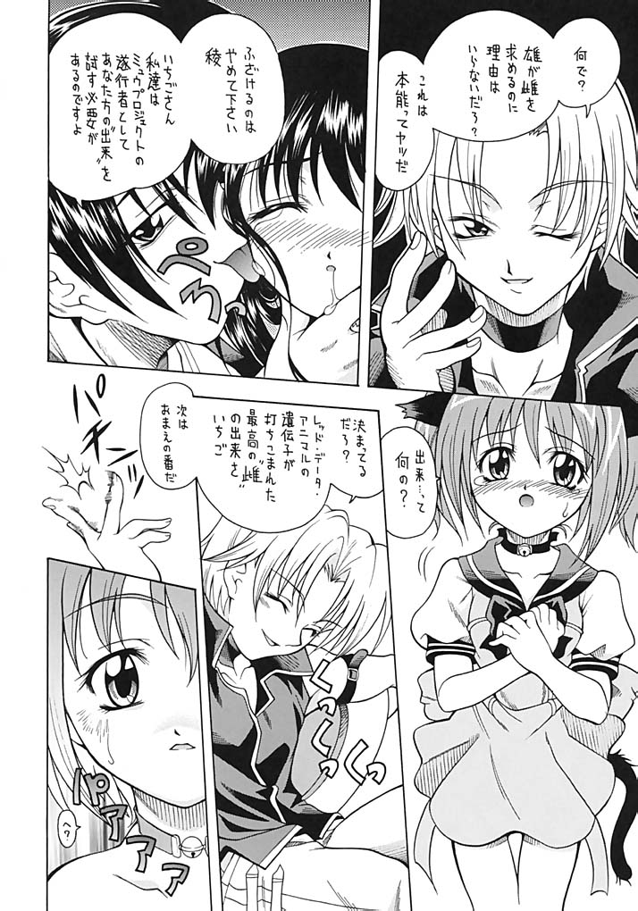 (C63) [K2 Tomo no Kai (Mizuki)] Asaban Festa (Ojamajo Doremi, Tokyo Mew Mew) - Page 29