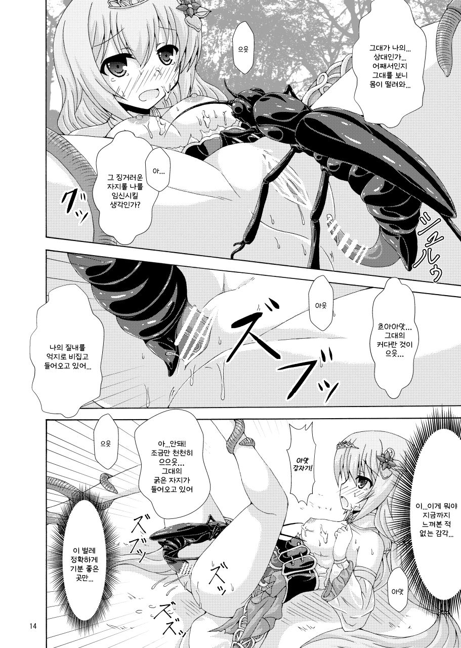 [Dream Project (Yumeno Shiya)] Futari no Joou to Nemuri Hime No Shiren | 두 사람의 여왕과 잠자는 공주의 시련 (Flower Knight Girl) [Korean] - Page 13