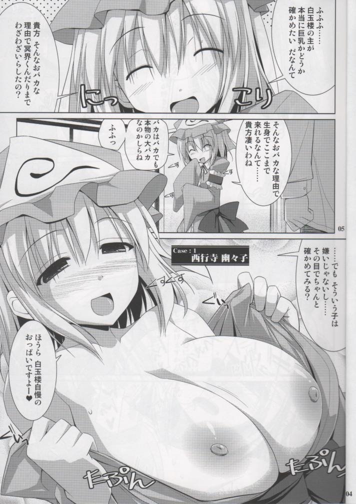 (C78) [TOYBOX, Kujira Logic (Kurikara, Kujiran)] Gensoukyou Chichi Zukan You EX (Touhou Project) - Page 4