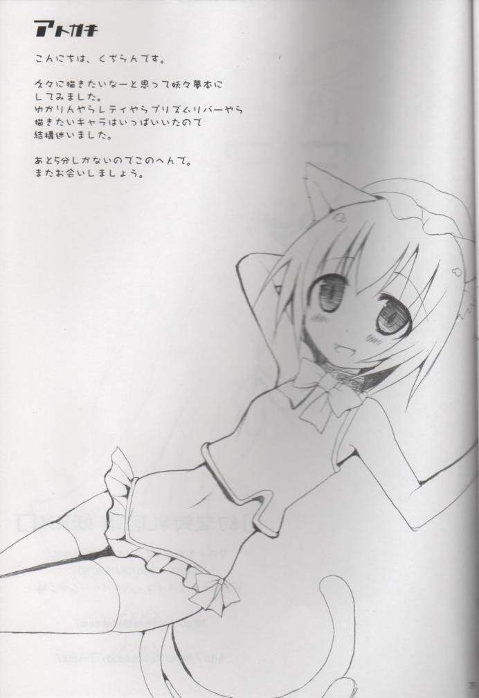 (C78) [TOYBOX, Kujira Logic (Kurikara, Kujiran)] Gensoukyou Chichi Zukan You EX (Touhou Project) - Page 24