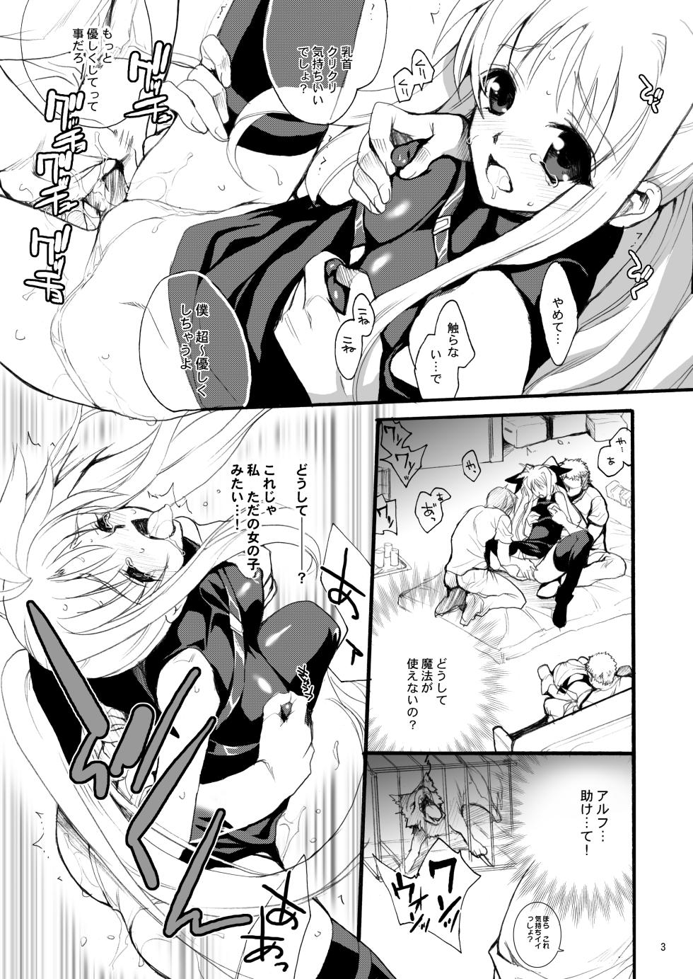 (C78) [Hanzai Tengoku (Hasei Agana)] Kiniro Shoujo (Mahou Shoujo Lyrical Nanoha, Seikon no Qwaser) [Digital] - Page 3