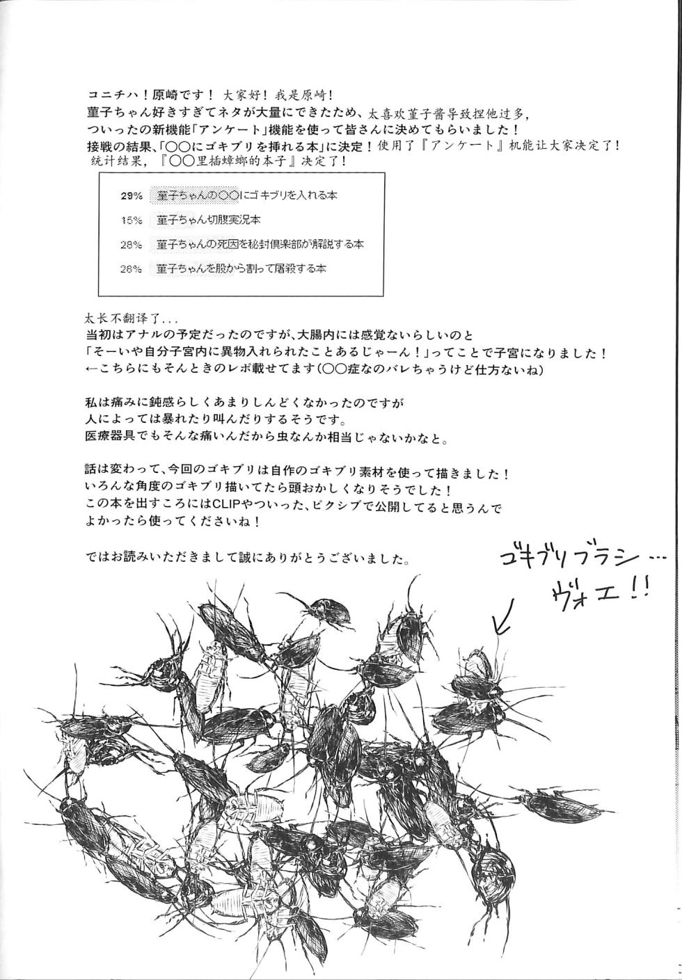 [02 (Harasaki)] Sumireko-chan no Chitsunai ni Gokiburi o Ireru Hon (Touhou Project) [Chinese] [Digital] - Page 32