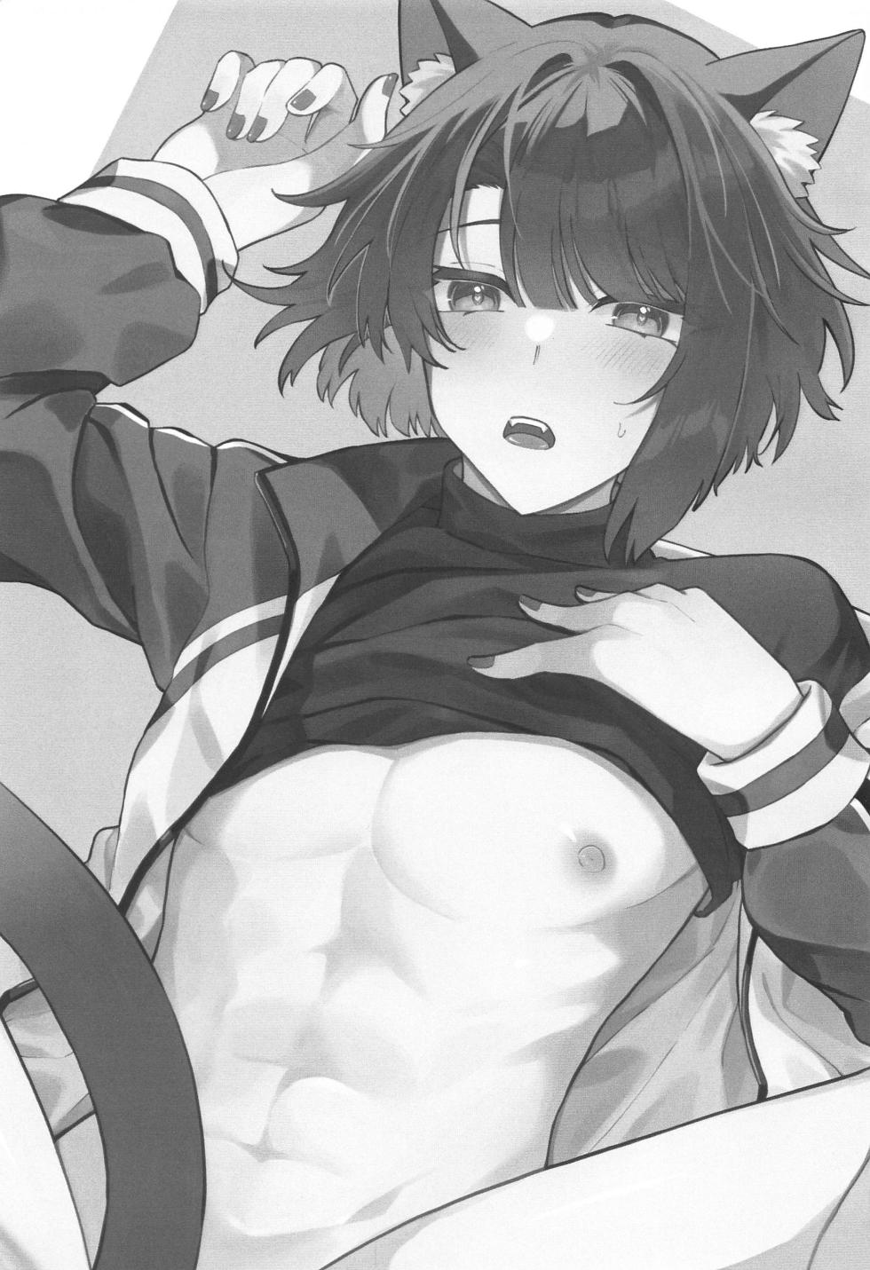 (Chou Senka no Toki 2023 Natsu) [Ringobatake (Rinno)] Matsui Neko-chan Hatsujouki! (Touken Ranbu) - Page 2