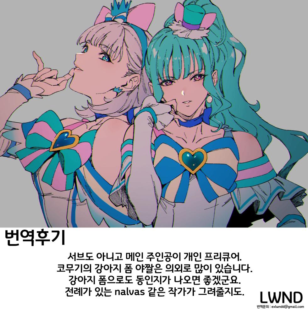 (COMIC1☆24) [Jukusei Kakuzatou (sugarBt)] Wonderful nante Nakatta | 왕더풀 따위는 없었다 (Wonderful PreCure!) [Korean] [LWND] - Page 21