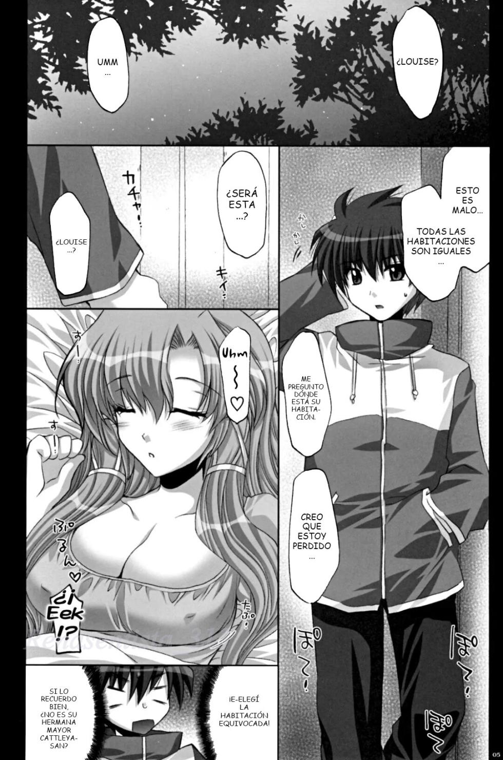 (C72) [FANTASY WIND (Shinano Yura)] THREAT WIZARD (Zero no Tsukaima) [Spanish] - Page 4