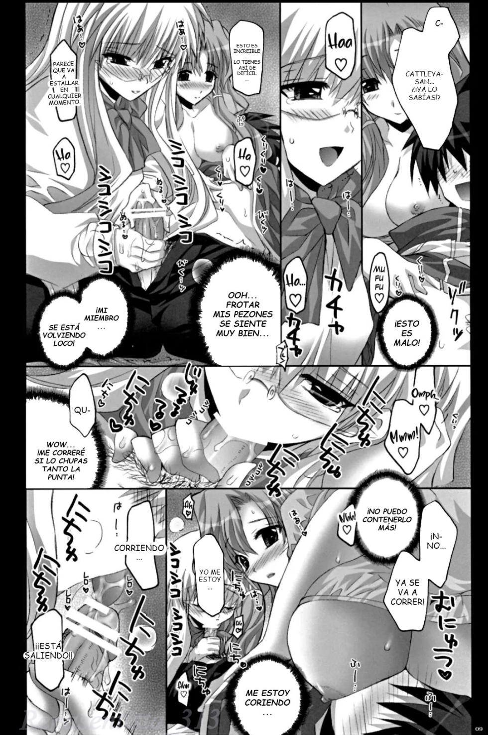 (C72) [FANTASY WIND (Shinano Yura)] THREAT WIZARD (Zero no Tsukaima) [Spanish] - Page 8