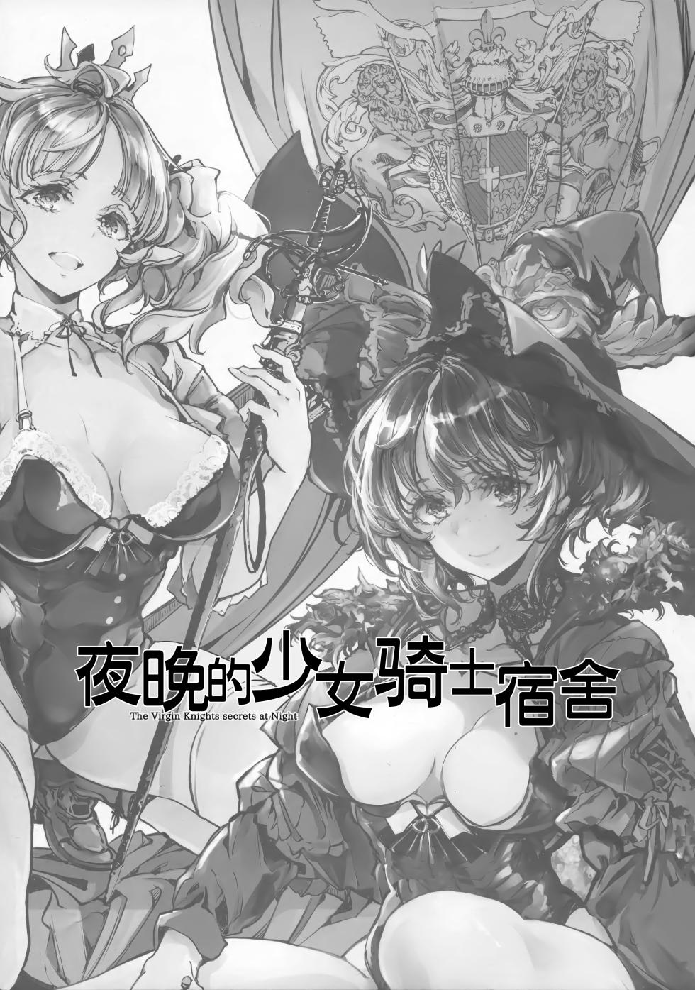 (C102) [70 Nenshiki Yuukyuu Kikan (Ohagi-san)] The Virgin Knights secrets at Night | 夜晚的少女骑士宿舍 [Chinese] [驴子汉化组] - Page 3