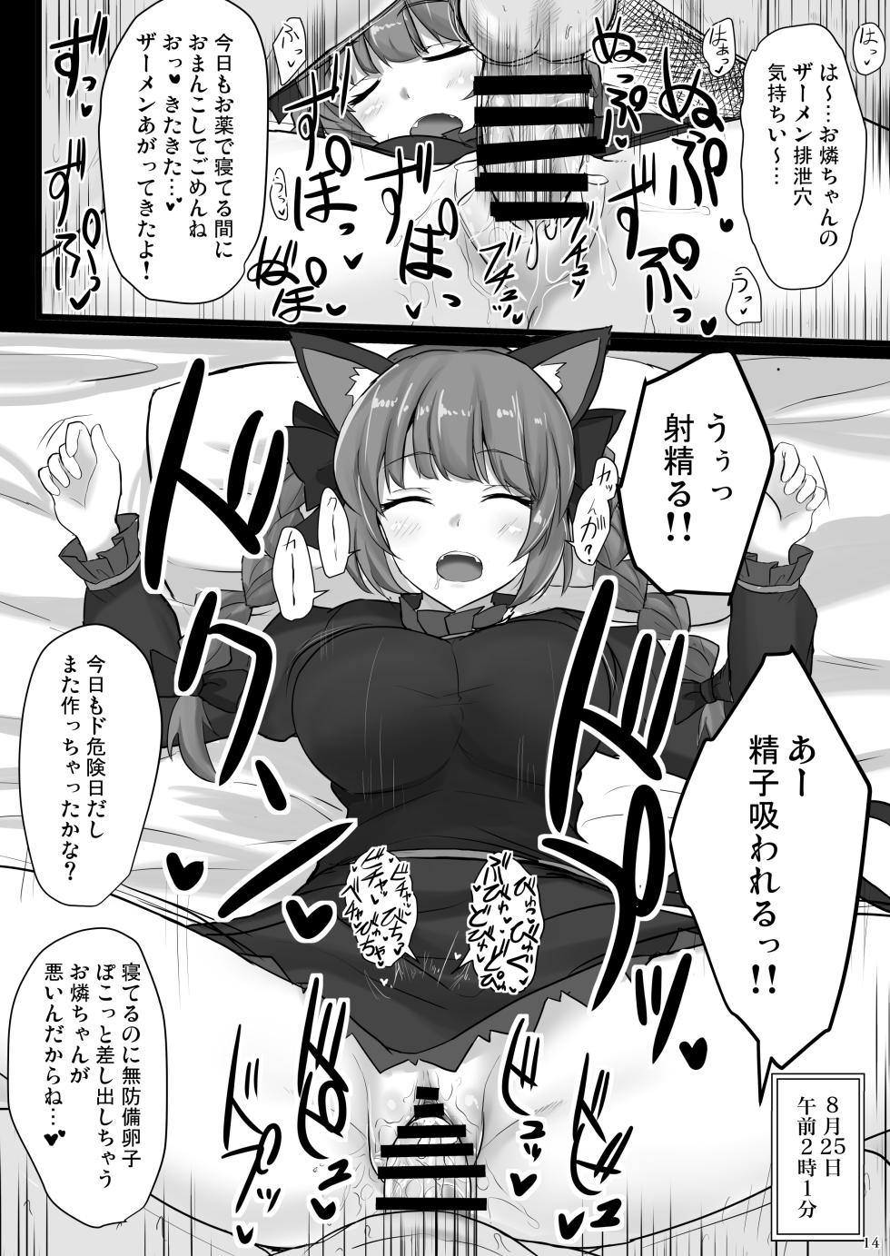 [Hakuginmokusei (Poshi)] Chireiden Suiminkan Kiroku vol.2 (Touhou Project) [Digital] - Page 13