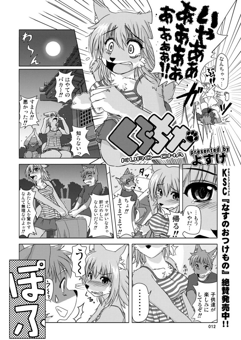(C78) [TOVIC (Hinpa)] COMIC KEMOSTORE Soukangou - Page 12